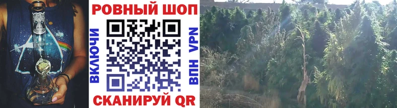 Купить закладку Канабис  Кокаин  Меф  Кореновск