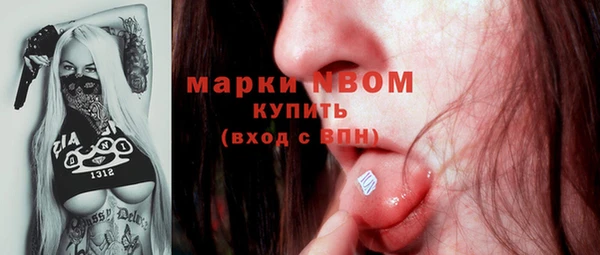 индика Иннополис