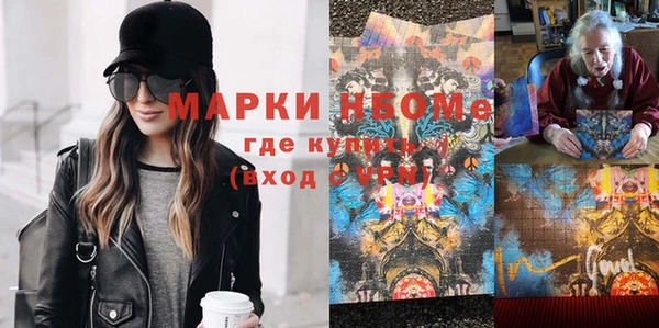 индика Иннополис