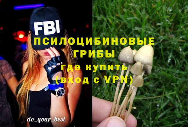 индика Иннополис