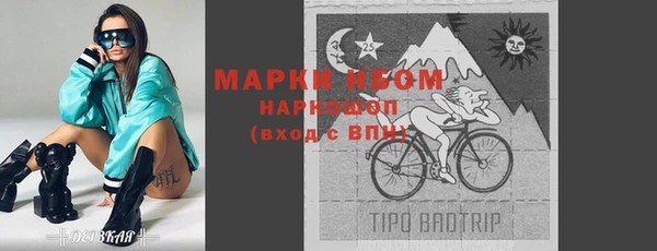 индика Иннополис