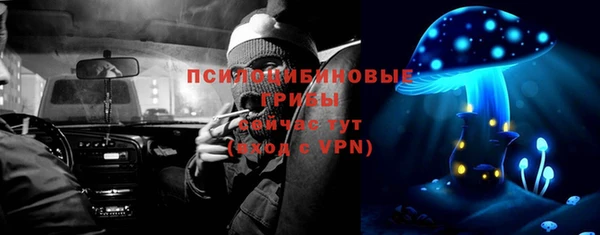индика Иннополис
