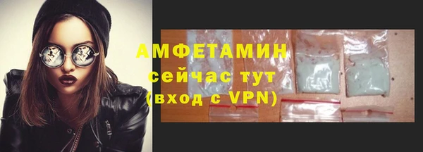 индика Иннополис