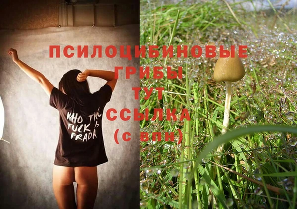 кокаин колумбия Инсар