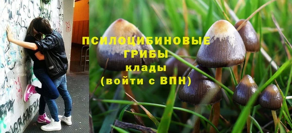 кокаин колумбия Инсар