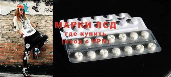индика Иннополис