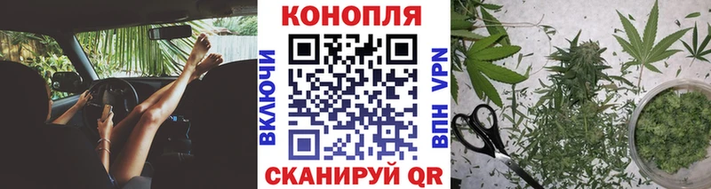 Бошки Шишки сатива  Купить  Кореновск 